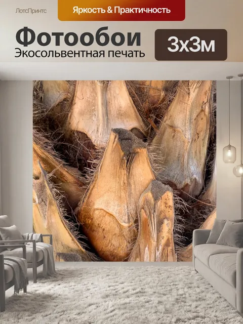 Фотообои коричневый ствол пальмы