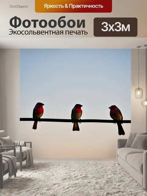 Фотообои утро показывают воробьев, сидящих на проводах, освещенных мягким утренним светом