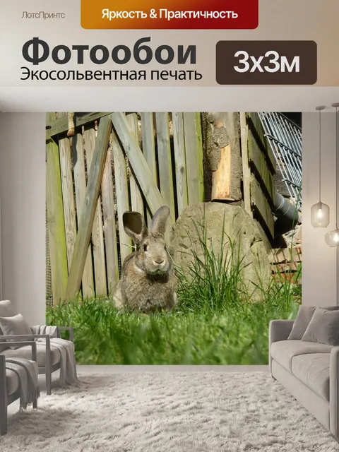 Фотообои Кролики