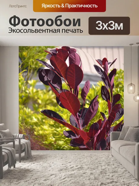 Фотообои Сферические Листья