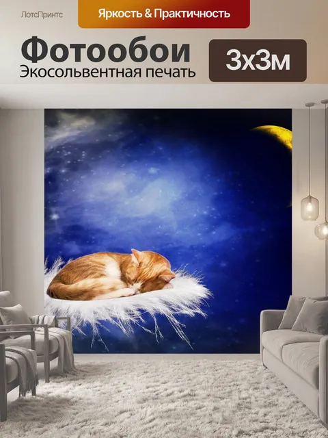 Фотообои Кот