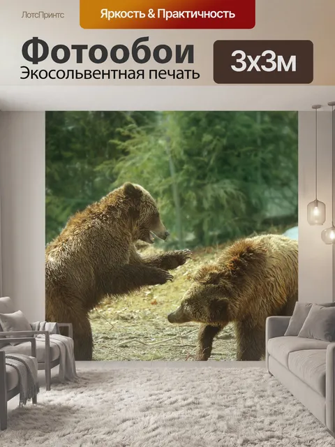 Фотообои Медведи гризли играют 4