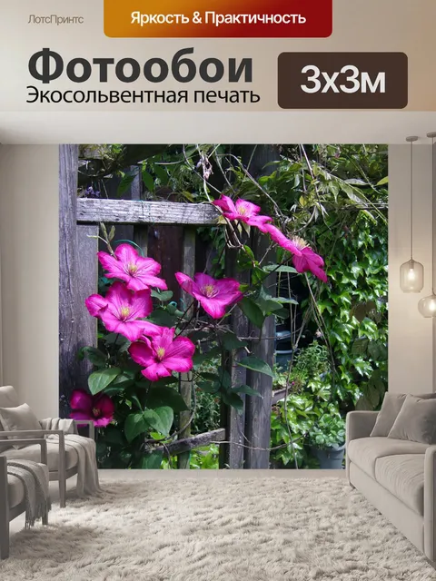 Фотообои Клематисы на беседкой