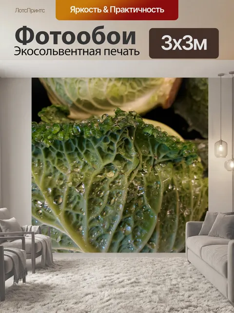 Фотообои Зеленые листовые овощи влажные