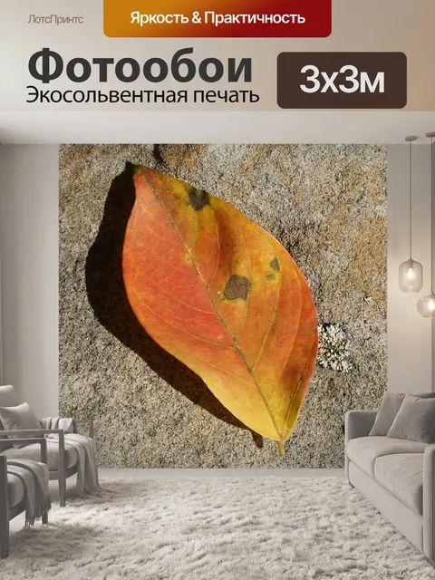 Фотообои Апельсиновый лист на каменной стене