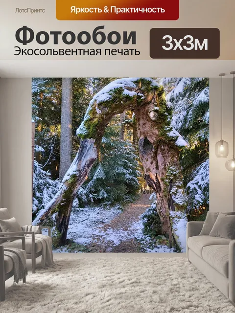 Фотообои Зачарованный лес