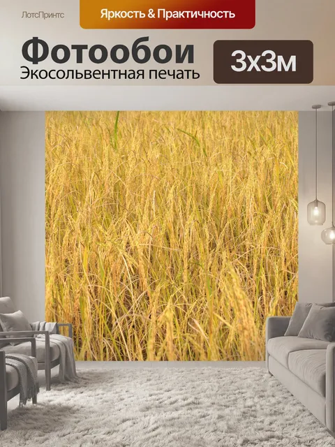 Фотообои Зрелый урожай золотого риса