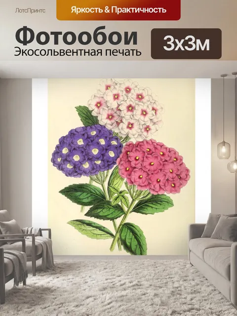 Фотообои Искусство иллюстрации садовых цветов