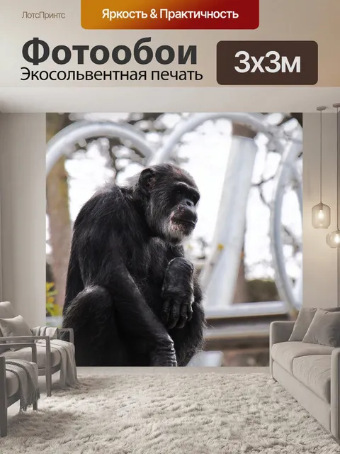 Фотообои Горилла в плену