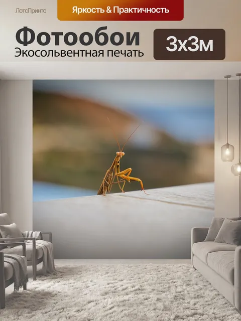 Фотообои Богомол