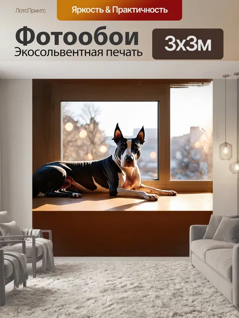 Фотообои бультерьер, мирно лежащий на подоконнике, солнце освещает его угольно-чёрные уши и белоснежную шерсть…