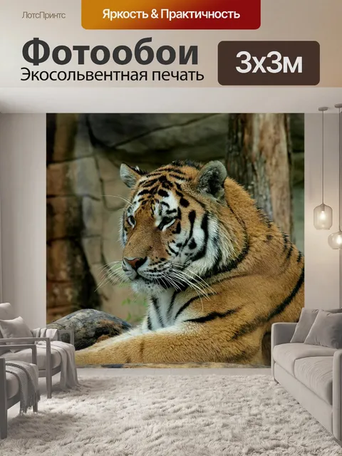 Фотообои Тигр