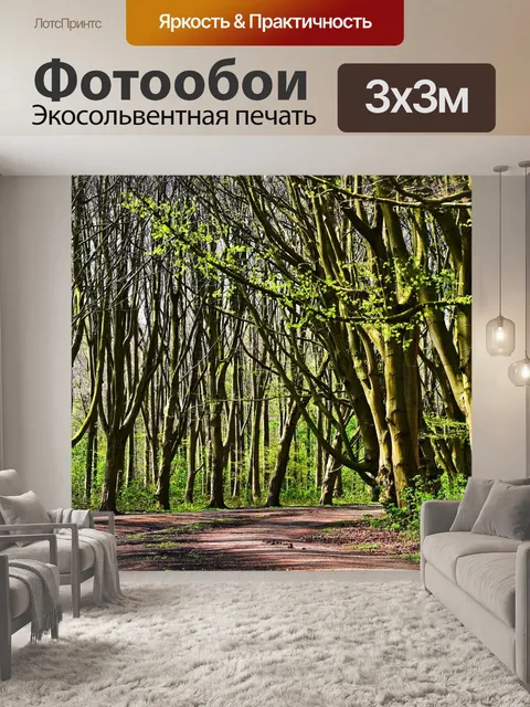 Фотообои Лес