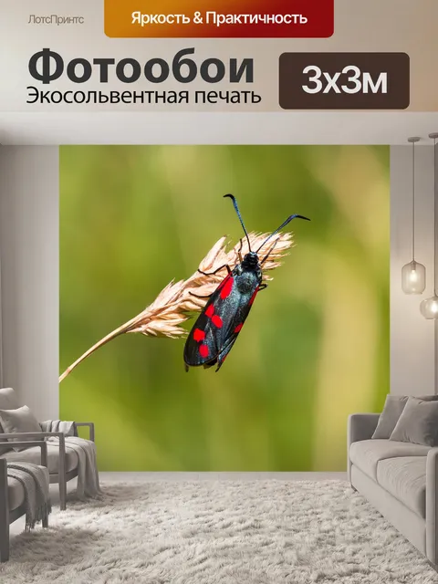 Фотообои Кровь