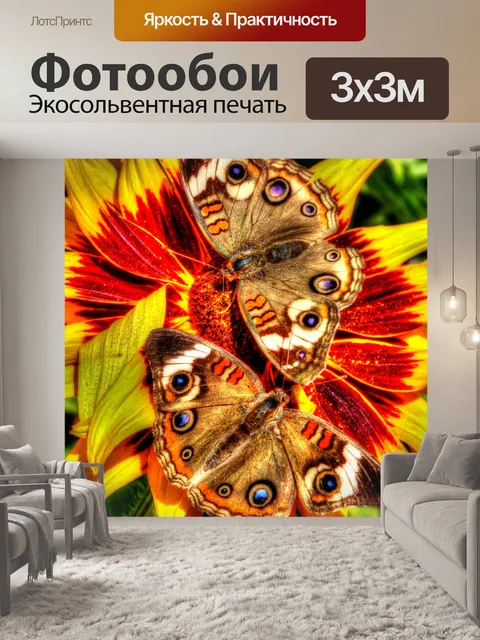 Фотообои Две бабочки Баки