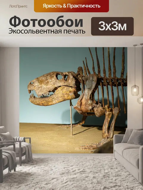 Фотообои Скелет динозавра