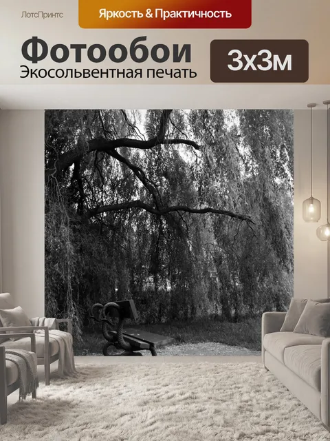 Фотообои Скамьи и дерева