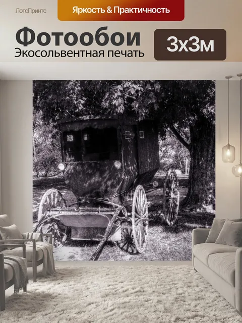 Фотообои амишей путь