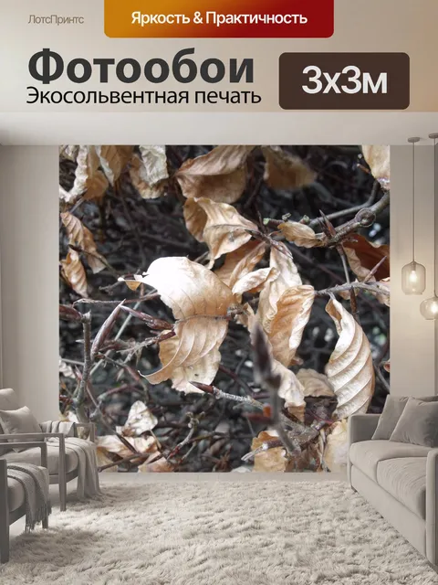 Фотообои Осень Browns