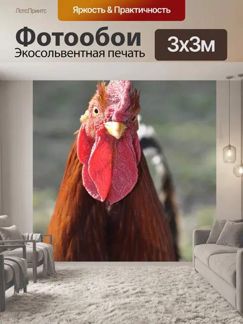 Фотообои Кран