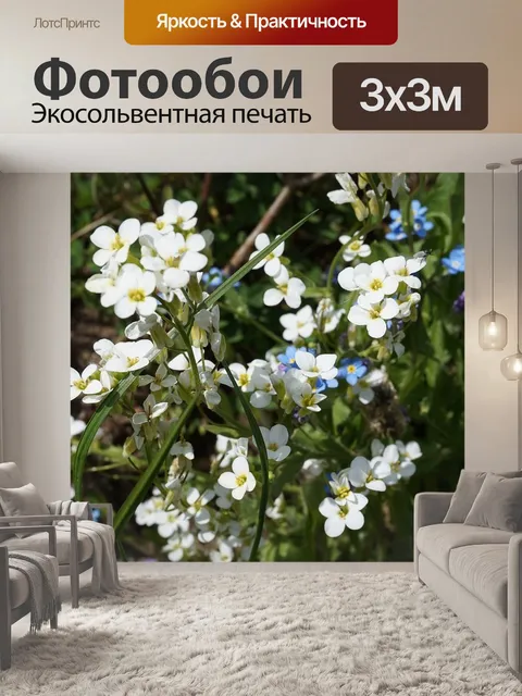 Фотообои Цветочный садик