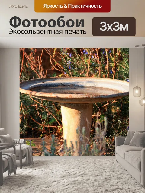 Фотообои бассейн для птиц в саду