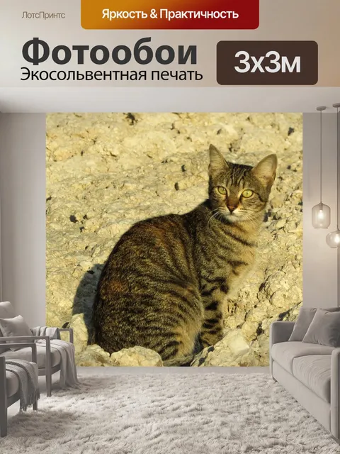 Фотообои Кошка