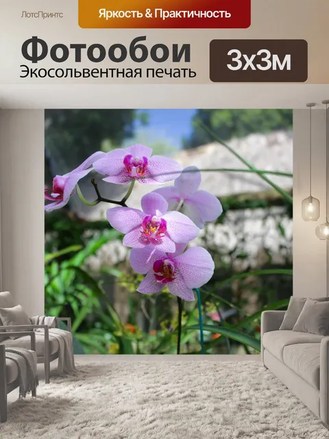 Фотообои Розовый