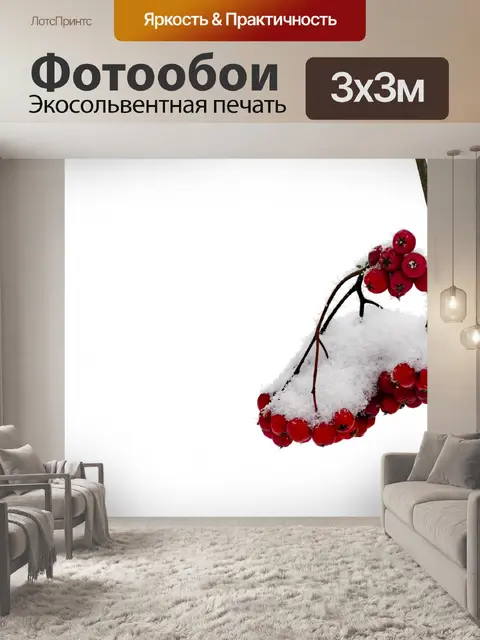 Фотообои Красные ягоды и Снежный филиал