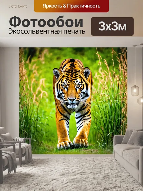 Фотообои тигр, который осторожно пробирается сквозь высокую траву, с напряженными мускулами и настороженным взглядом