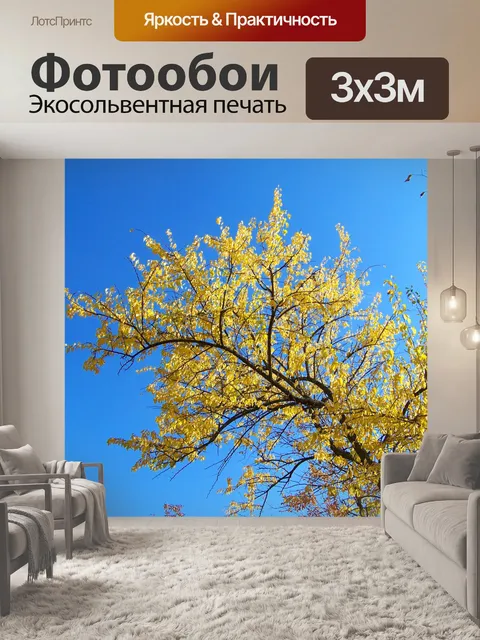 Фотообои Желтые листья