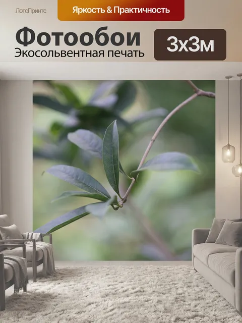 Фотообои Природные пейзажи