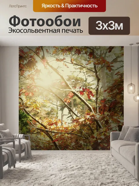 Фотообои Падение деревьев Sunburst