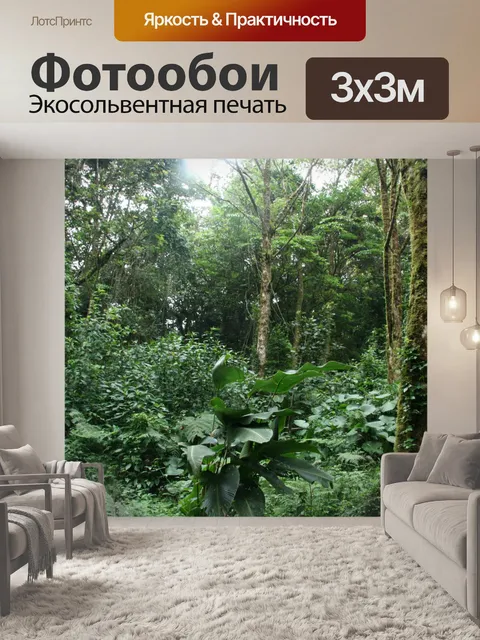 Фотообои Коста-Рика тропических лесов