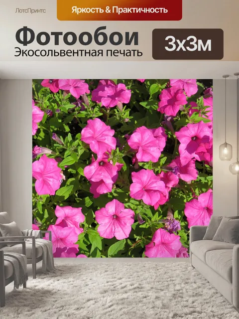 Фотообои Горячие розовые цветы петунии