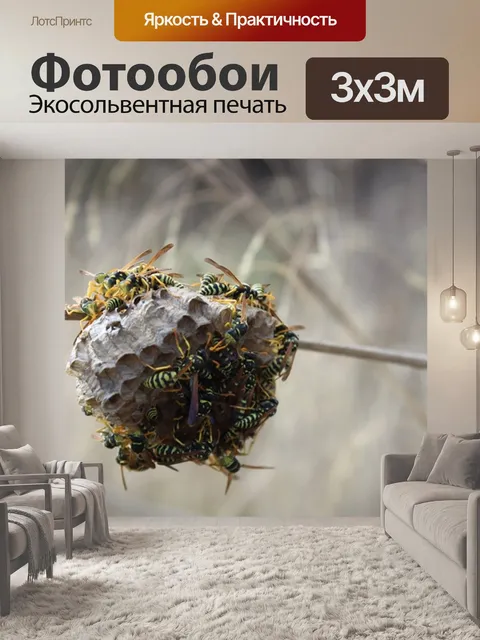 Фотообои Бумажная оса