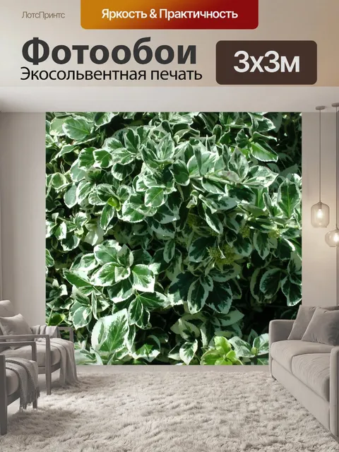 Фотообои Сад Кусты Фон