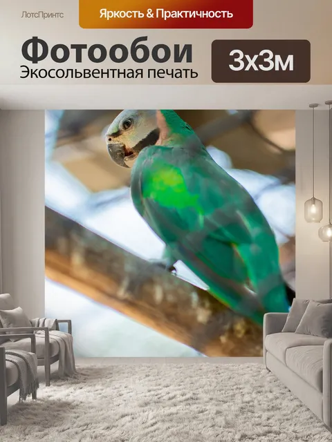 Фотообои Птица сидит на ветке