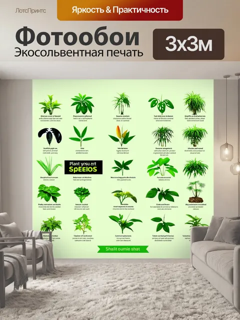 Фотообои зеленые в стиле инфографический рисунок, показывающие классификацию видов растений и животных