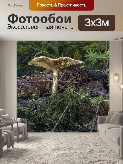 Фотообои Гриб
