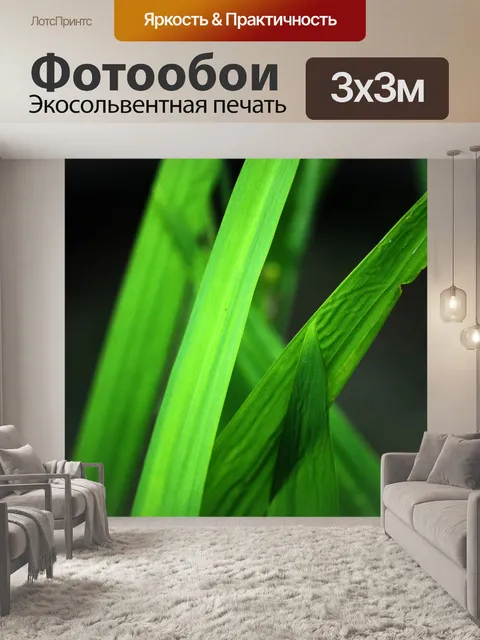 Фотообои трава листья