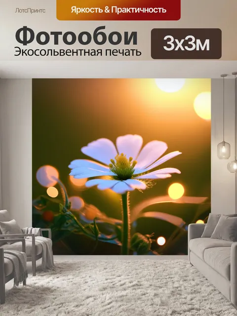 Фотообои создайте образ маленького белого цветка, освещённого мягким светом заката