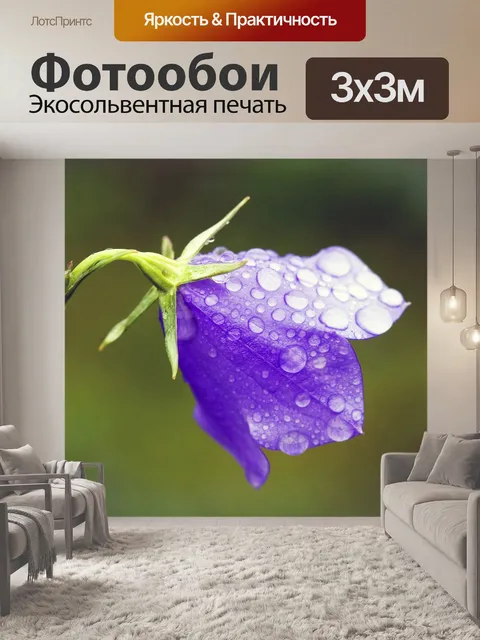 Фотообои Цветок колокольчика