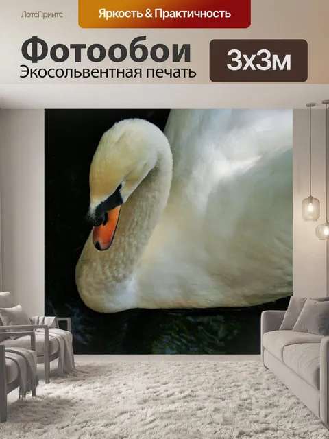 Фотообои Белый лебедь