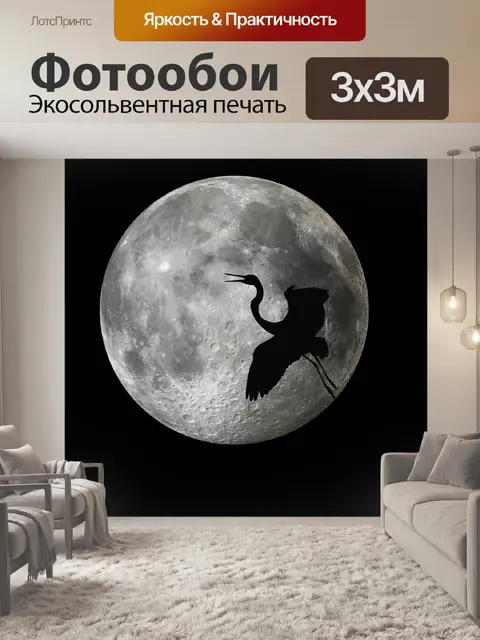 Фотообои Цапля через луну