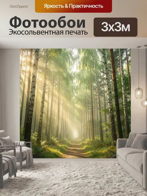 Фотообои Солнечная берёзовая аллея в лесу