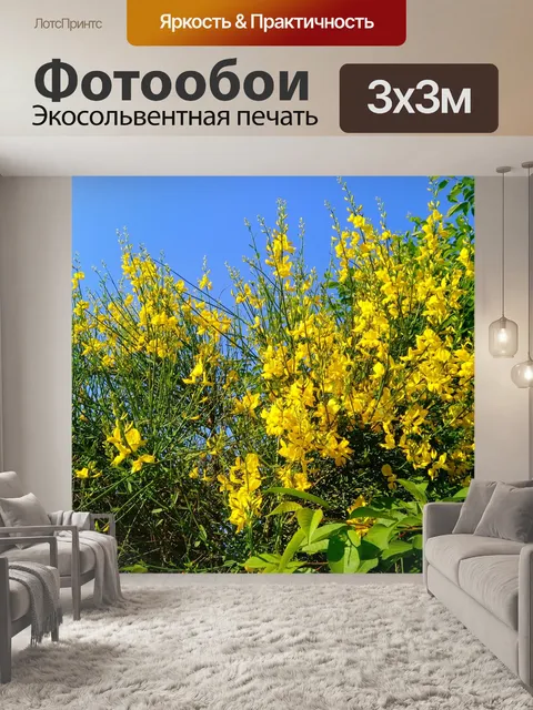 Фотообои Сад