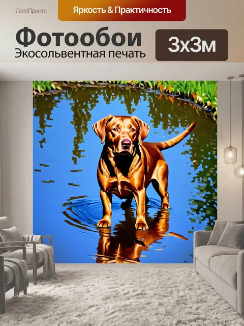 Фотообои коричневый лабрадор ретривер рядом с прудом, отражающим голубое небо