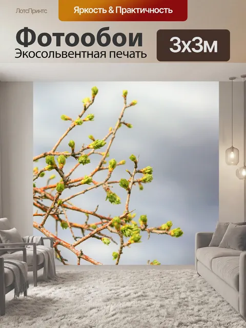 Фотообои Почки