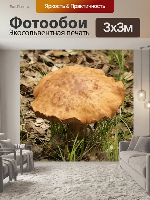 Фотообои Браун Bolete Гриб крупным планом